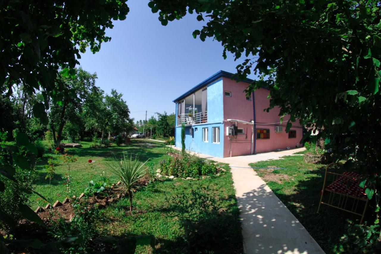 Novel House Apartment Martvili Bagian luar foto